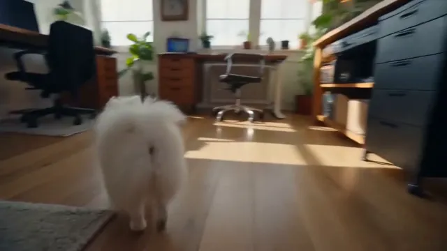 Still from the Vlog sample